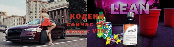 дмт Бердск