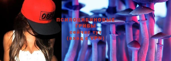трава Баксан