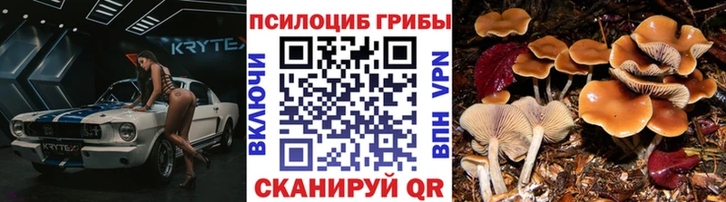 Галлюциногенные грибы мухоморы Белый